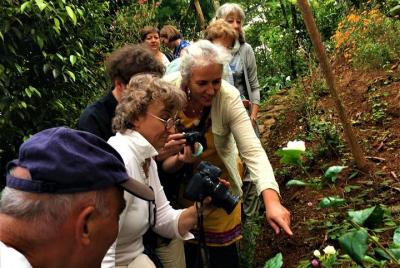 Paseo en jeep a las granjas agrícolas en Periyar
