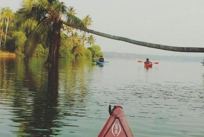 Kayak en Paravur Backwaters de Kollam