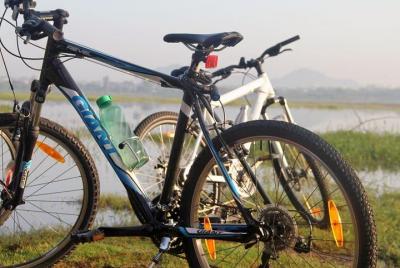 Excursión en bicicleta por el campo de Udaipur: bicicletas de alt