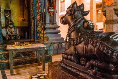 Excursión guiada a pie de 3 horas por el río a los templos de Var