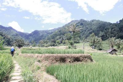 Al norte de Bandung hasta el juicio de Subang Al norte de Bandung hasta el juicio de Subang