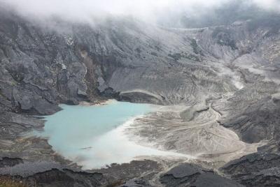 Puncak ~ Tour privado de un día aventurero ~; Solo; Grupo pequeño