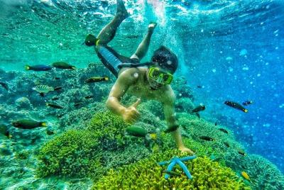 Excursión de un día por Java Oriental: viaje abierto de Menjangan