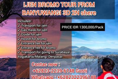 Ijen crater tours shere