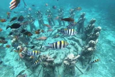 Excursión de medio día de snorkel a la isla Gili con salida desde