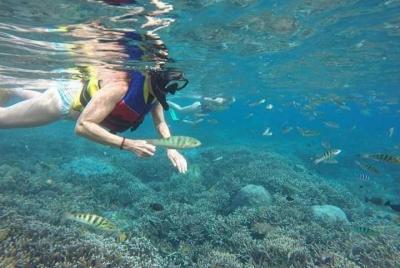 Visita guiada privada de Ubud Snorkeling Sunset Temple - WiFi gra