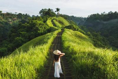 Diseñe su propio recorrido: recorrido privado personalizado por B