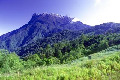 Excursión al Parque Nacional de Kinabalu (Patrimonio de la Humani