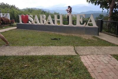 Kota Kinabalu Kinabalu Park Tour privado de un día