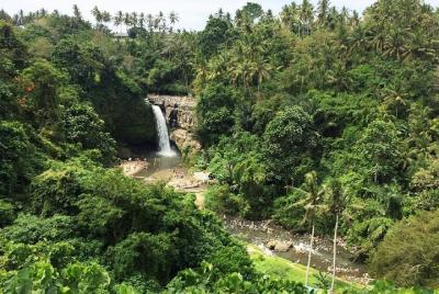 Lo mejor de las cascadas alrededor del área de Ubud