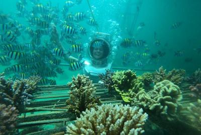 Lo mejor de Tanjung Benoa Tour: Bali Sea Walker Experience - Tour