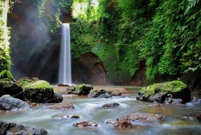 Tour privado de naturaleza y cultura de día completo en Bali
