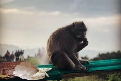 Batur Sunrise Trekking