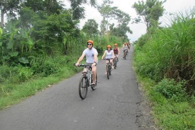 Excursión de medio día al este de la aldea de Bali Oriental con a