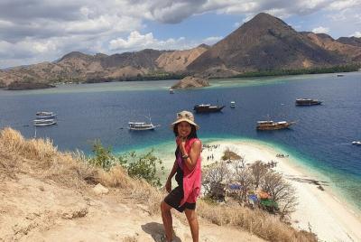 Tour del dragón de Komodo a medio día: Isla Rinca, Kelor, Menjerite y isla Kalong Tour del dragón de Komodo a medio día: Isla Rinca, Kelor, Menjerite y isla Kalong