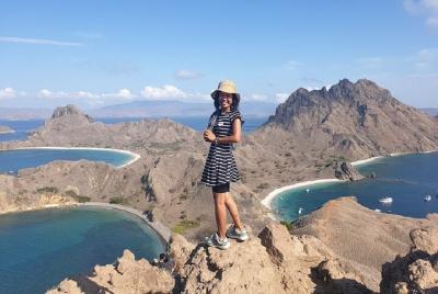 Tour de la isla de Komodo de 1 día de excursión en lancha rápida Tour de la isla de Komodo de 1 día de excursión en lancha rápida