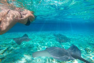 Un día de viaje a Komodo con Bintang Komodo Tours Un día de viaje a Komodo con Bintang Komodo Tours