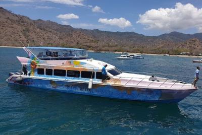 3 días en la isla de Komodo. 3 días en la isla de Komodo.