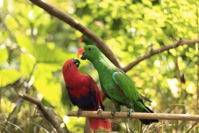 Experiencia íntima de vida salvaje con almuerzo