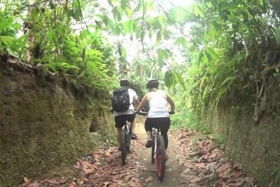Tour en bicicleta de montaña y en cascada desde Lombok