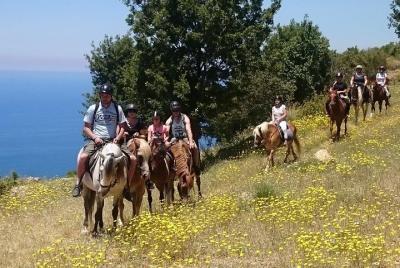 Alanya Horse Riding (Half Day) - Horse Safari en Alanya