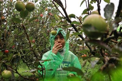 1 día - Malang Instagramable Tour // 08:00 - 18:00