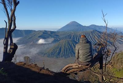 Bromo Sunrise Tour - Tour de 1 día