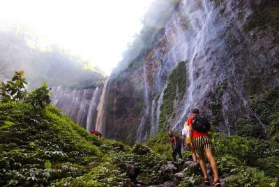 1 día - Cascada Coban Sewu y Trekking Goa Tetes 1 día - Cascada Coban Sewu y Trekking Goa Tetes