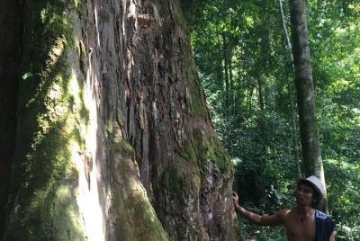 Ronie's jungle trek bukit lawang