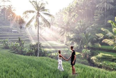Ubud Harmonic Day Tour - WIFI GRATUITO Ubud Harmonic Day Tour - WIFI GRATUITO