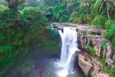 Tour a la cascada de Ubud