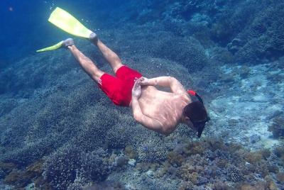 Desde Lembongan: excursión de un día a la isla de Nusa Lembongan  Desde Lembongan: excursión de un día a la isla de Nusa Lembongan
