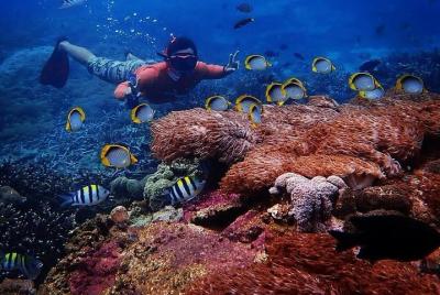 Excursión de un día desde Nusa Lembongan con snorkel Excursión de un día desde Nusa Lembongan con snorkel