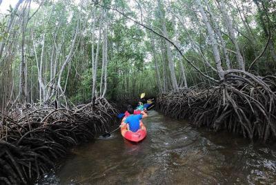 1 hora de kayak o aventura de stand up paddle desde Lembongan a The Mangrove 1 hora de kayak o aventura de stand up paddle desde Lembongan a The Mangrove