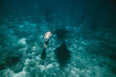 Viaje de snorkel y apnea por Nusa Penida Viaje de snorkel y apnea por Nusa Penida