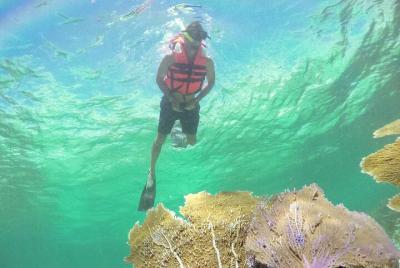 Maroma Beach Reef Adventure con paseo en catamarán