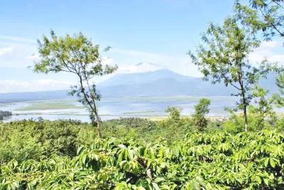Alquiler de coche de día completo con guía Semarang