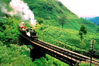 Boletos de tren de Ella a Nanu oya