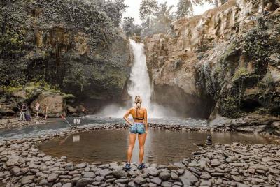 Alquiler de coches en Bali - Ubud Full Day Tour Alquiler de coches en Bali - Ubud Full Day Tour