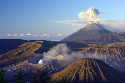 Paquete Bromo Tour: Mediodía Bromo Viaje abierto desde Surabaya