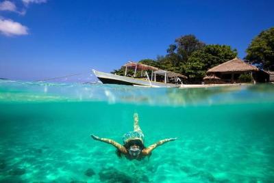  Snorkel Blue Lagoon - Cascadas escénicas de Ubud - Todo incluido