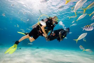 Bali Scuba Diving for Beginner