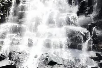 Tour guiado completo de Ubud con un experimentado anfitrión local