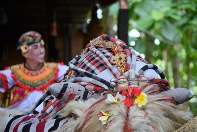 Visita al pueblo de Ubud y danza cultural con terraza de arroz y 