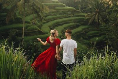 Tour de medio día a Ubud: bosque de monos y terraza de arroz de T