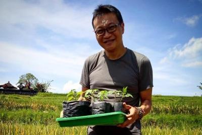 Disfruta del auténtico paisaje natural balinés y aprende agricult