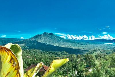 Wi-Fi gratis - Volcán Batur - Tegalalang Jungle Swing - Cascada T