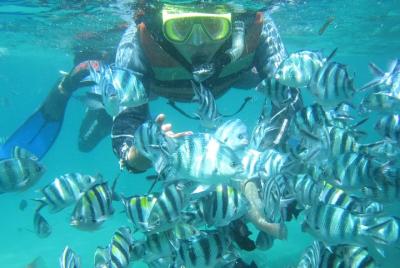 Bali: tour de snorkel en Blue Lagoon Padangbai