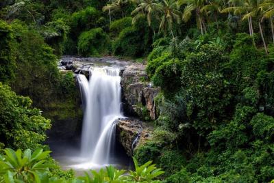 Bali Shore Excursions: la mejor atracción de Tripadvisor