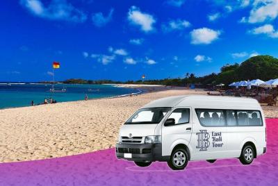 Conductor de Ubud Bali (Tour personalizado + Wifi gratis)